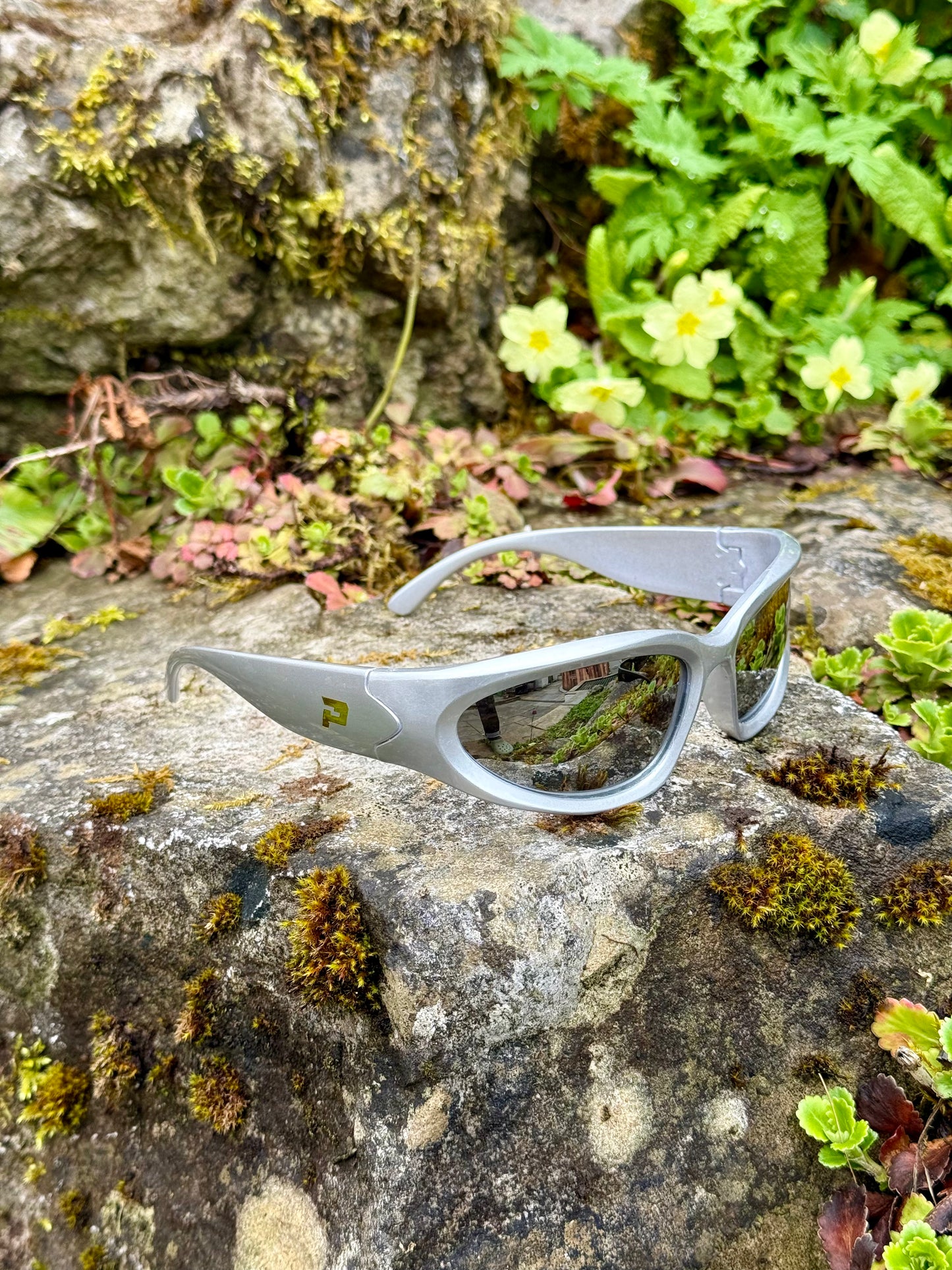 Speedo - Darkfest 2025 Limited Edition Glasses